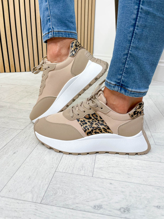 Cara Trainer