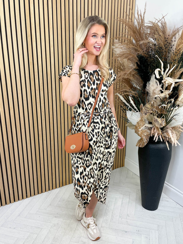 Travel The World - Leopard