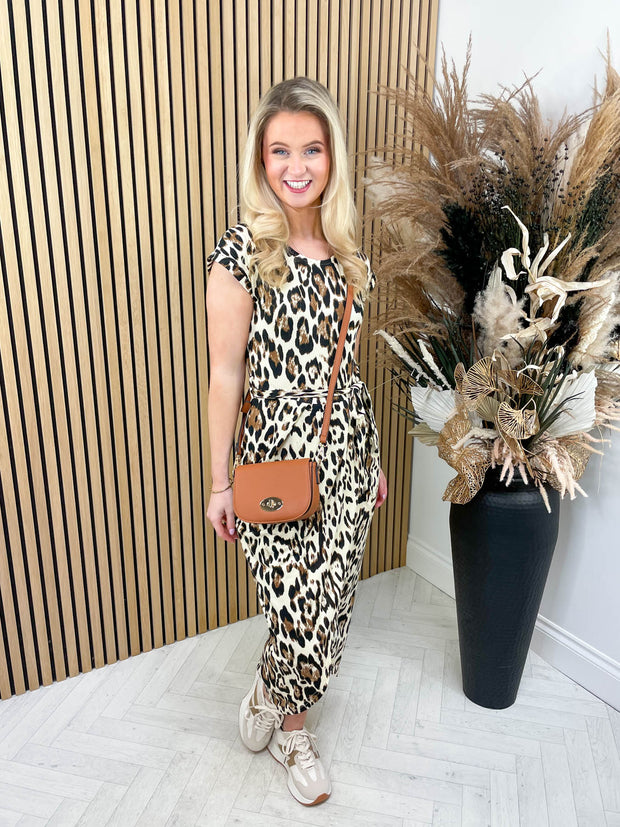 Travel The World - Leopard
