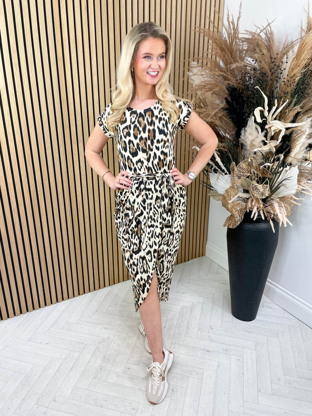 Travel The World - Leopard