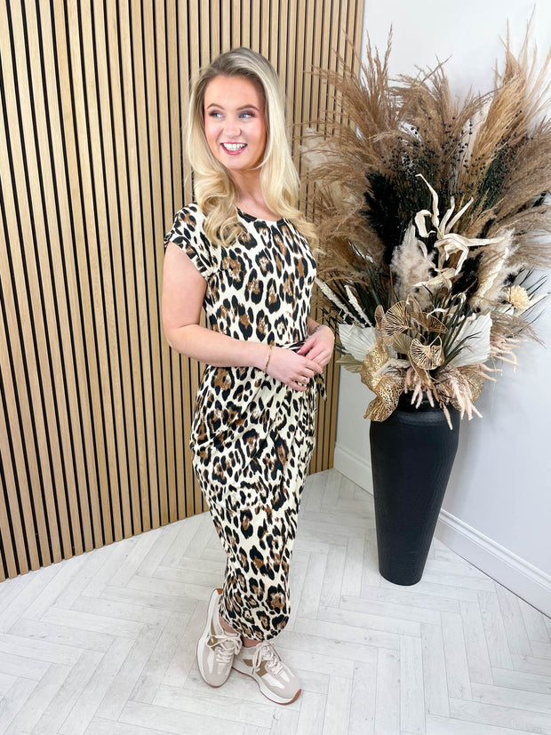 Travel The World - Leopard