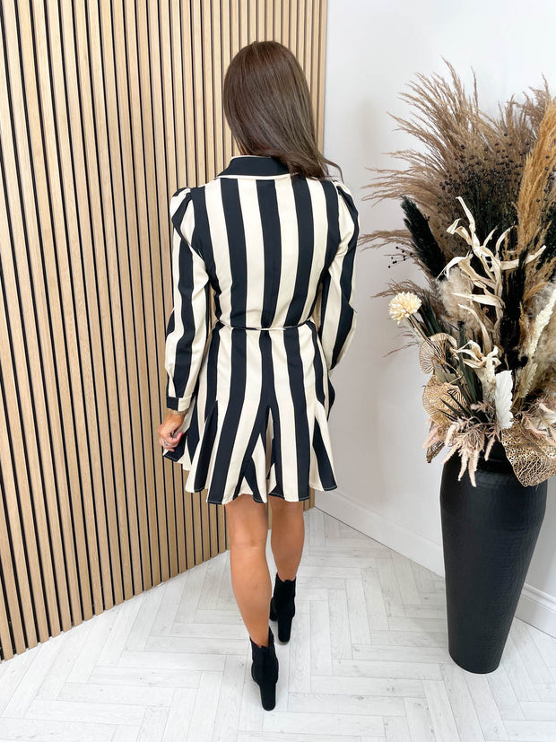 Tasha Mini Dress - Stripe