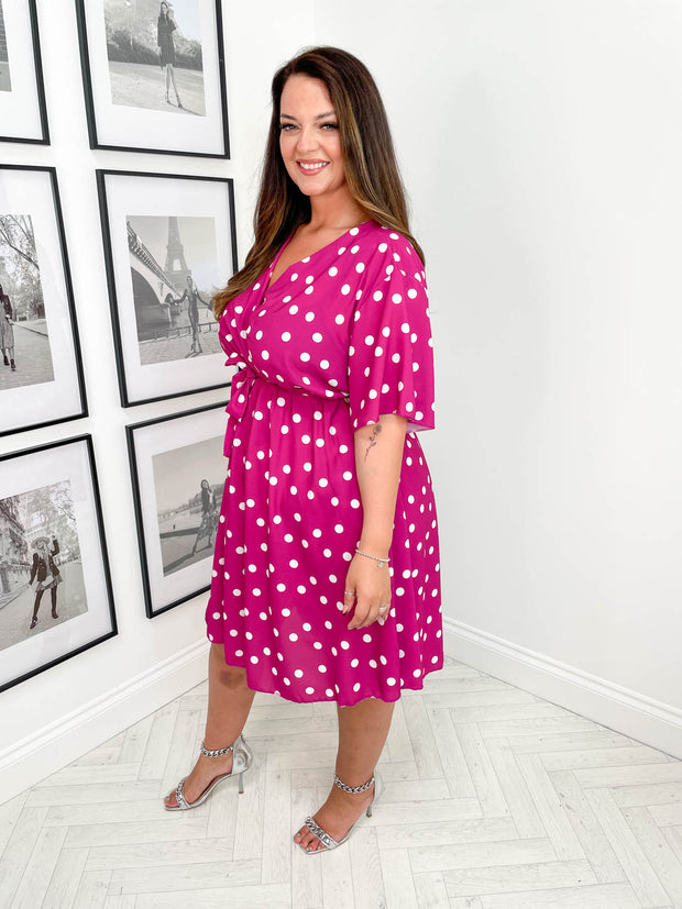 CURVE Delphine Polka Dress - 2 Colours